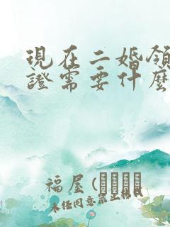 现在二婚领结婚证需要什么证件