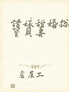 错嫁甜婚总裁的宝贝妻