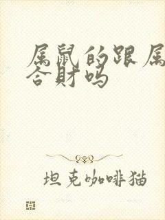 属鼠的跟属鼠的合财吗