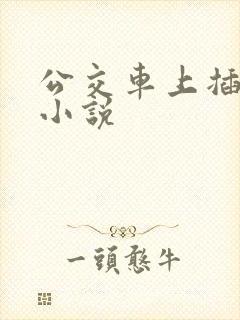 公交车上插进去小说
