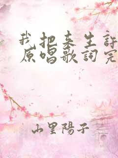 我把来生许给你原唱歌词完整版