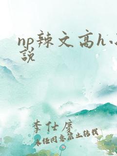 np辣文高h小说