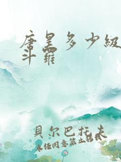 唐昊多少级封号斗罗