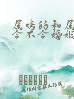 属鸡的和属鸡的合不合婚姻