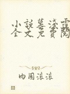 小说慕浅霍靳西全文免费阅读