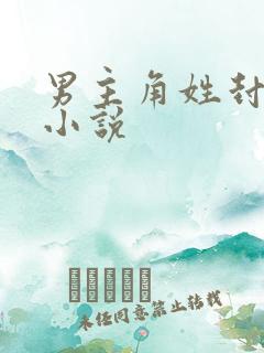 男主角姓封全部小说