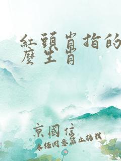红头肖指的是什么生肖
