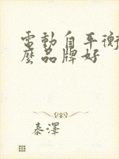 电动自平衡车什么品牌好