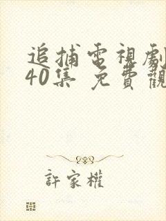 追捕电视剧 共40集 免费观看