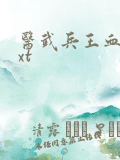 医武兵王血徒txt
