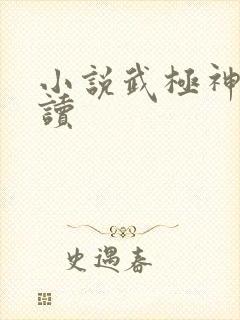 小说武极神王阅读