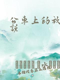公车上的放荡小说