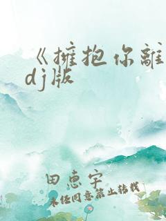 《拥抱你离去》dj版