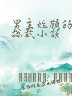 男主姓顾的现代总裁小说
