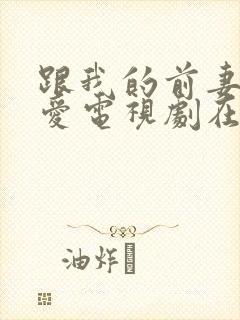 跟我的前妻谈恋爱电视剧在线