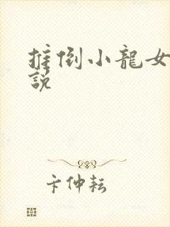 推倒小龙女的小说
