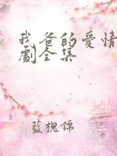 我爸的爱情电视剧全集