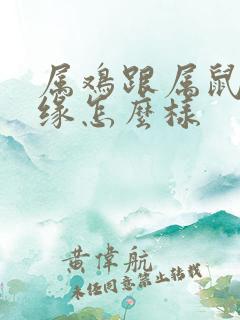 属鸡跟属鼠的姻缘怎么样