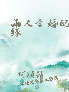 两人合婚配对姻缘