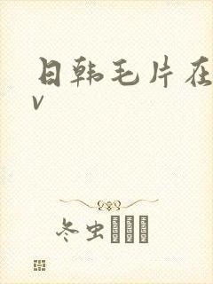日韩毛片在线av