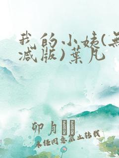 我的小姨(无删减版)叶凡