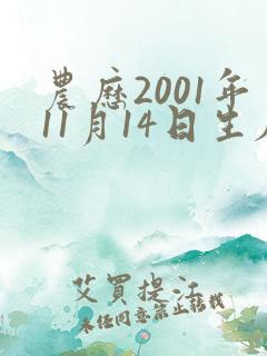 农历2001年11月14日生辰八字算命