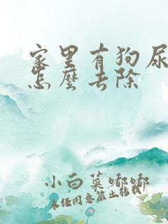 家里有狗尿骚味怎么去除