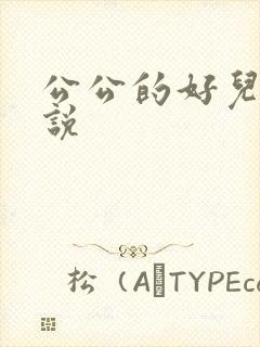 公公的好儿媳小说