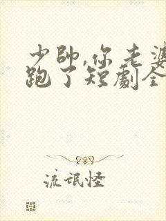 少帅,你老婆又跑了短剧全集