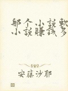 那个小说软件写小说赚钱多