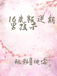 16岁叛逆期的男孩子