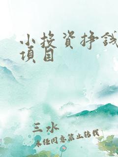 小投资挣钱快的项目