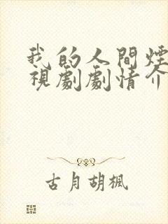 我的人间烟火电视剧剧情介绍