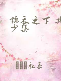 锦衣之下 共多少集