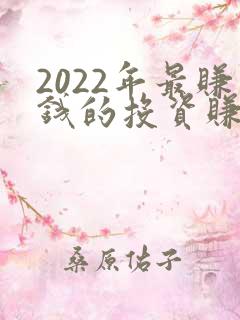 2022年最赚钱的投资赚快钱项目