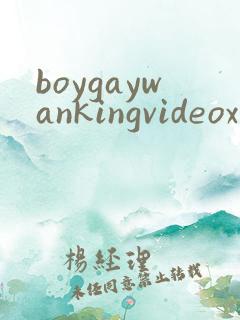 boygaywankingvideoxxxx