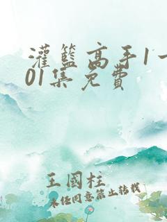 灌篮高手1一101集免费