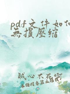 pdf文件如何无损压缩