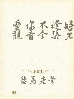 爱你不逢时在线观看全集免费播放