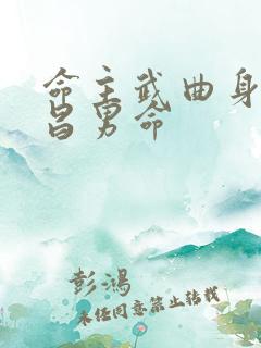 命主武曲身主文昌男命