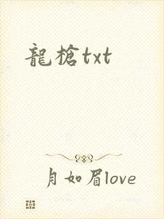 龙枪txt
