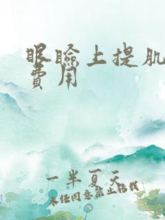 眼睑上提肌手术费用