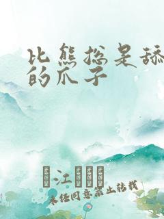 比熊总是舔自己的爪子