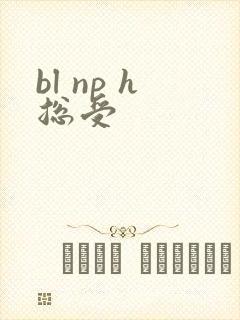 bl np h总受