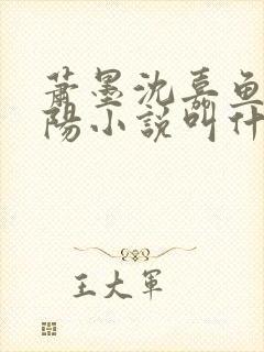 萧墨沈嘉鱼裴鹤阳小说叫什么名字