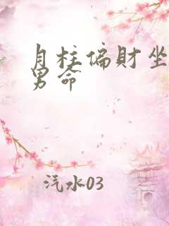 月柱偏财坐偏财男命