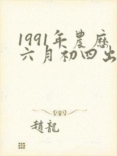 1991年农历六月初四出生人八字算命
