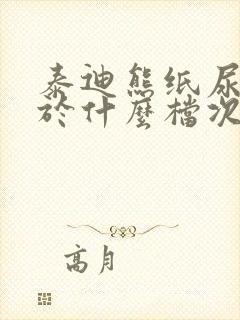 泰迪熊纸尿裤属于什么档次
