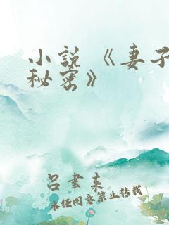 小说 《妻子的秘密》
