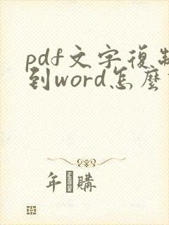 pdf文字复制到word怎么调整格式